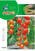 小虹6號