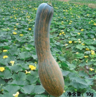 惠美長尾